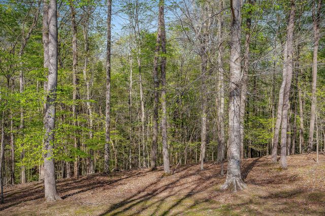 1219 Four Seasons Dr, Smithville, TN 37166