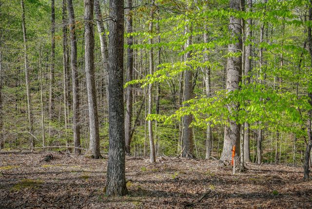 1219 Four Seasons Dr, Smithville, TN 37166