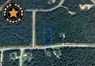 5-6-229 Dipping Vat Road, Huntsville, TX 77340