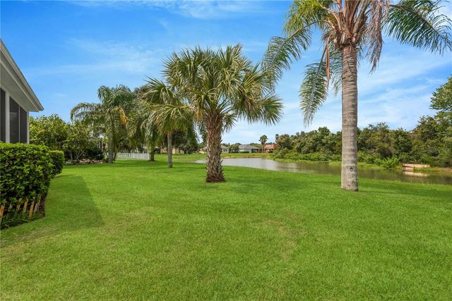 19908 BLUFF OAK BOULEVARD, Tampa, FL 33647