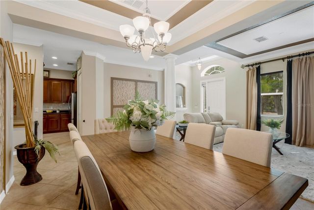 19908 BLUFF OAK BOULEVARD, Tampa, FL 33647