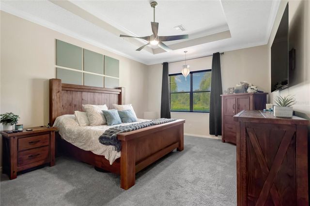 19908 BLUFF OAK BOULEVARD, Tampa, FL 33647