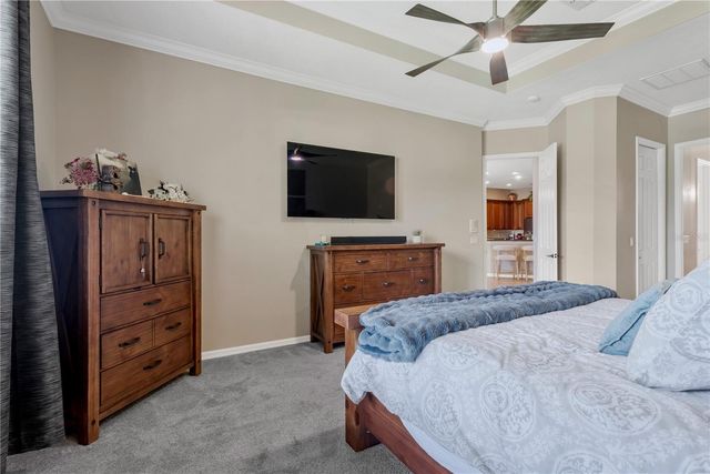 19908 BLUFF OAK BOULEVARD, Tampa, FL 33647