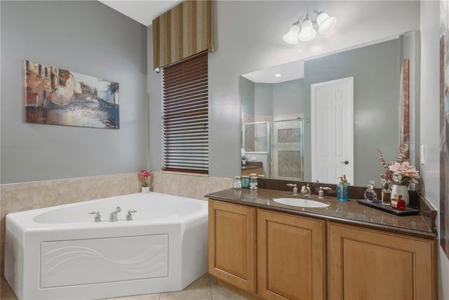 19908 BLUFF OAK BOULEVARD, Tampa, FL 33647