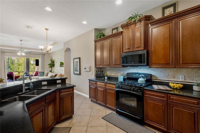 19908 BLUFF OAK BOULEVARD, Tampa, FL 33647
