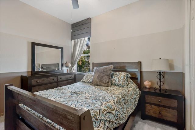 19908 BLUFF OAK BOULEVARD, Tampa, FL 33647