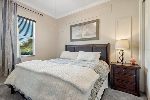 19908 BLUFF OAK BOULEVARD, Tampa, FL 33647