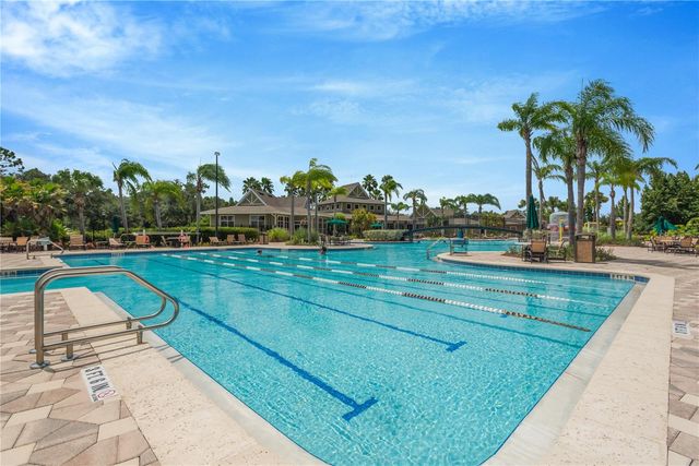 19908 BLUFF OAK BOULEVARD, Tampa, FL 33647