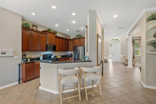 19908 BLUFF OAK BOULEVARD, Tampa, FL 33647