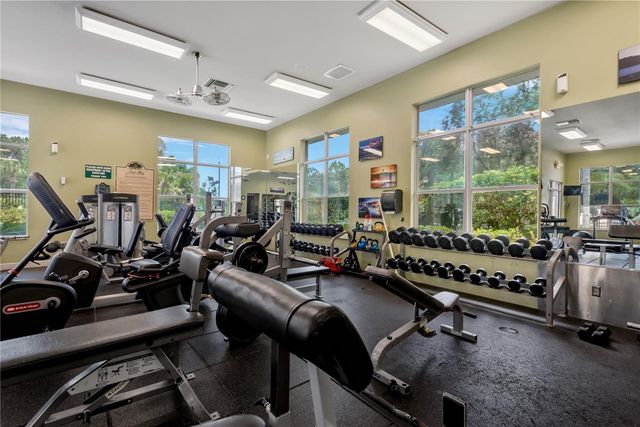 19908 BLUFF OAK BOULEVARD, Tampa, FL 33647