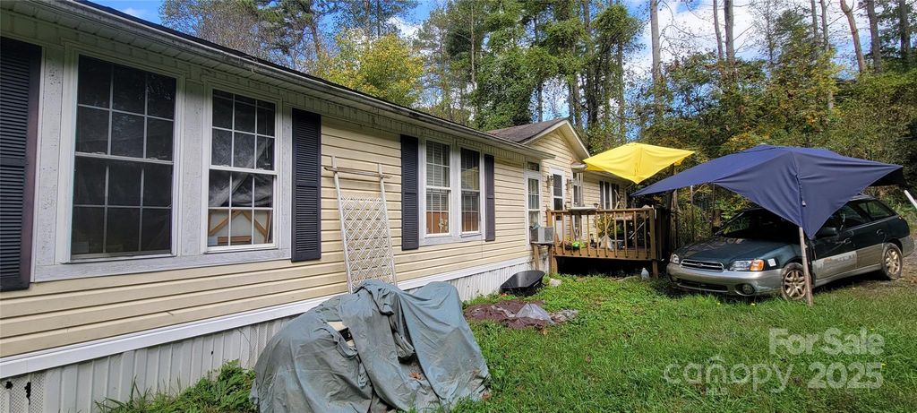 310 Woods Ammons Road, Mars Hill, NC 28754