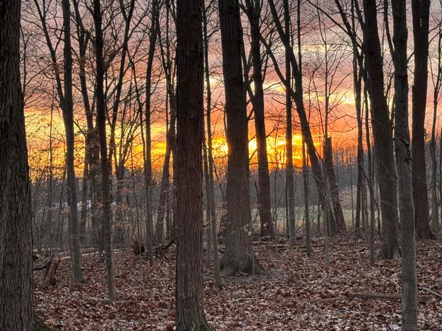 6629 W East Road, Three Oaks, MI 49128