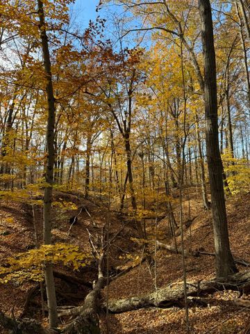 6629 W East Road, Three Oaks, MI 49128