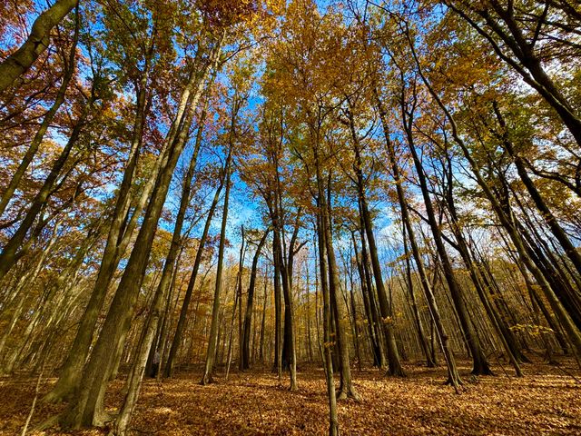 6629 W East Road, Three Oaks, MI 49128