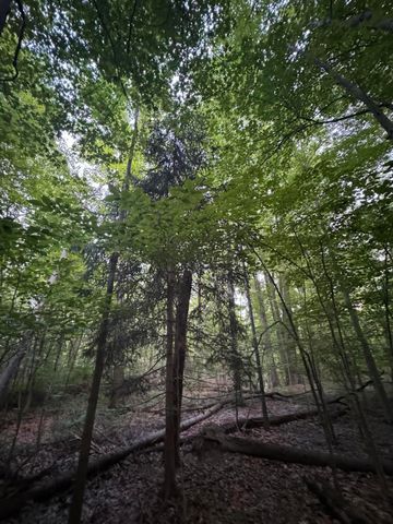 6629 W East Road, Three Oaks, MI 49128