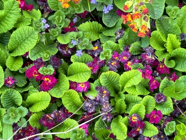 6629 W East Road, Three Oaks, MI 49128