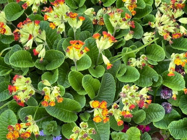 6629 W East Road, Three Oaks, MI 49128