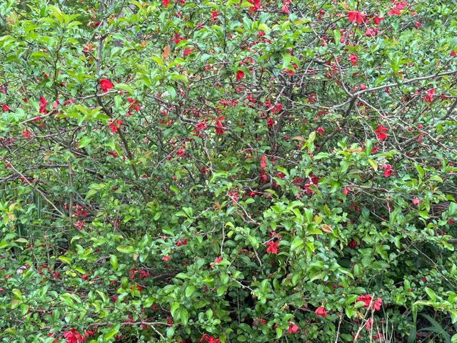 6629 W East Road, Three Oaks, MI 49128