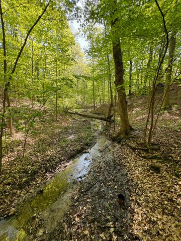 6629 W East Road, Three Oaks, MI 49128