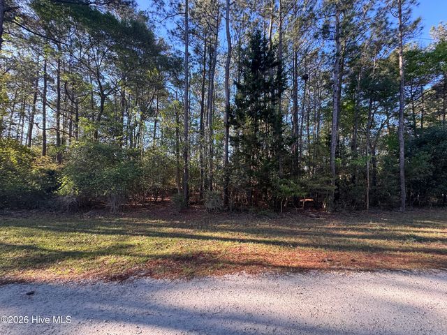 42 Pond View Circle E, Hampstead, NC 28443