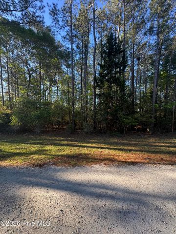 42 Pond View Circle E, Hampstead, NC 28443