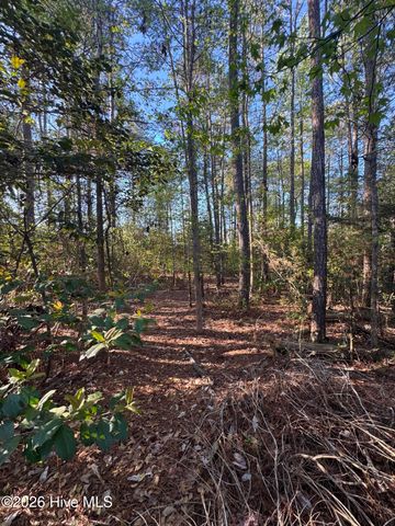 42 Pond View Circle E, Hampstead, NC 28443