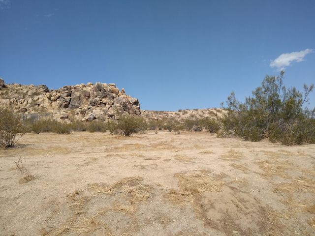 170th St East, Lake Los Angeles, CA 93591