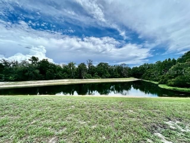 11051 BELLE HAVEN DRIVE, New Port Richey, FL 34654