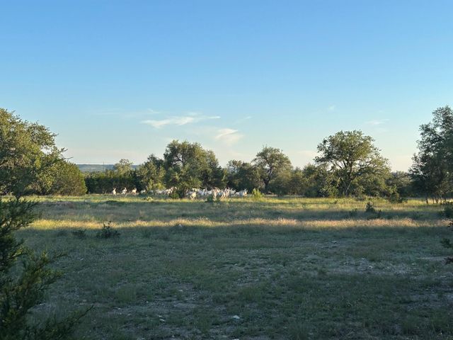 Lot 13 Legacy Hillls DR, Johnson City, TX 78636