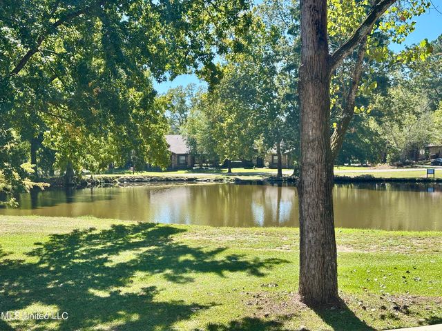 157 Caribbean Cove, Clinton, MS 39056