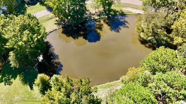 157 Caribbean Cove, Clinton, MS 39056