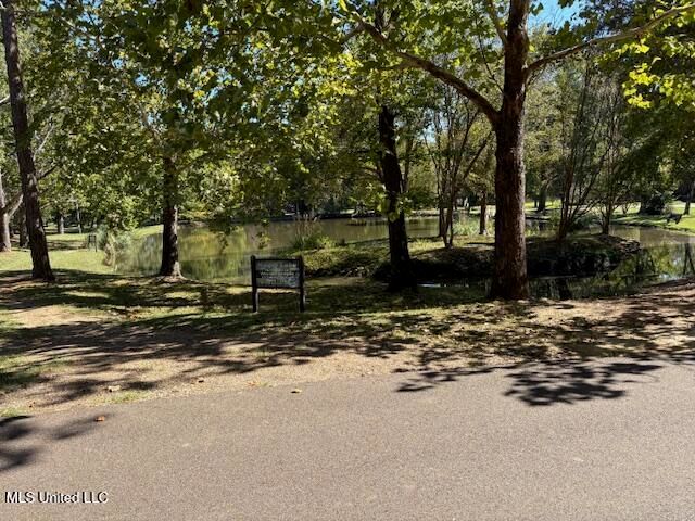 157 Caribbean Cove, Clinton, MS 39056