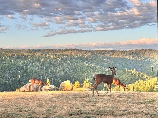 7161 Kona Drive, Placerville, CA 95667