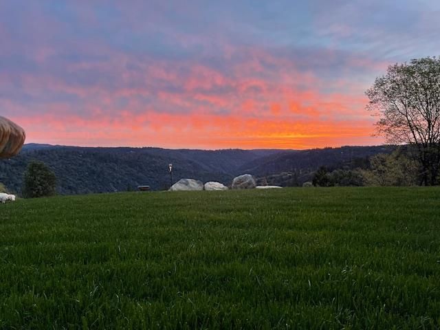 7161 Kona Drive, Placerville, CA 95667