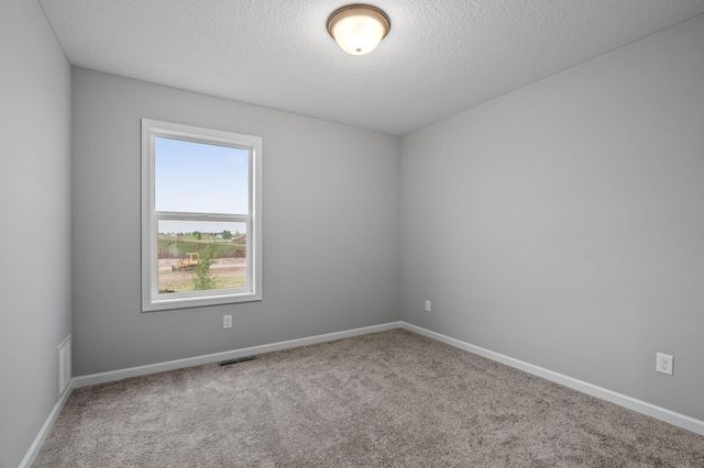 1606 191st Avenue NE, East Bethel, MN 55011