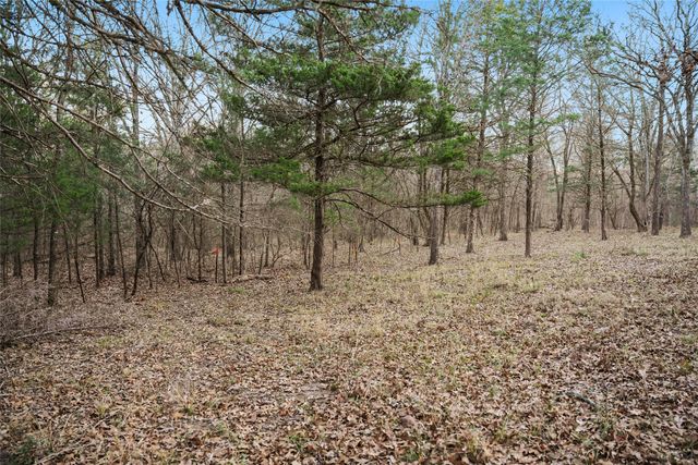 344 RS County Road 4254, Point, TX 75472