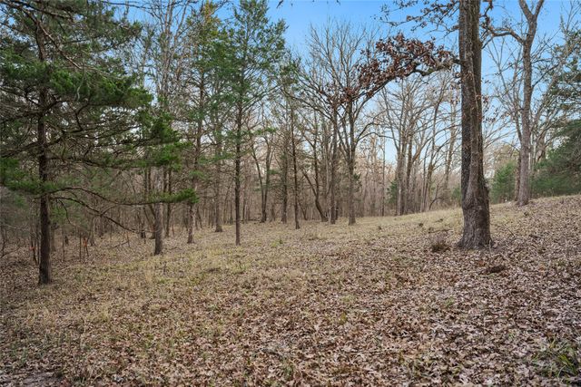 344 RS County Road 4254, Point, TX 75472