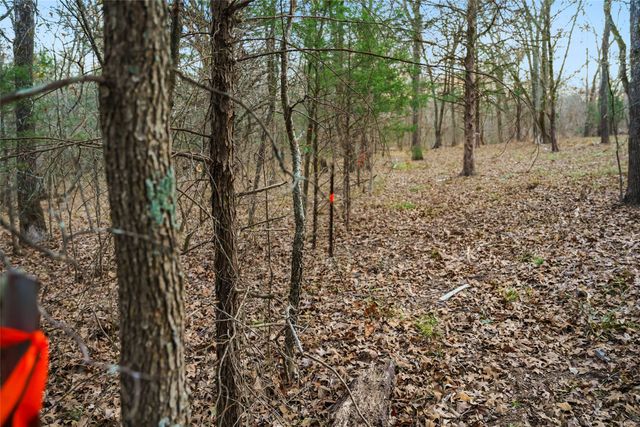 344 RS County Road 4254, Point, TX 75472