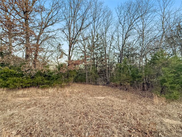 344 RS County Road 4254, Point, TX 75472