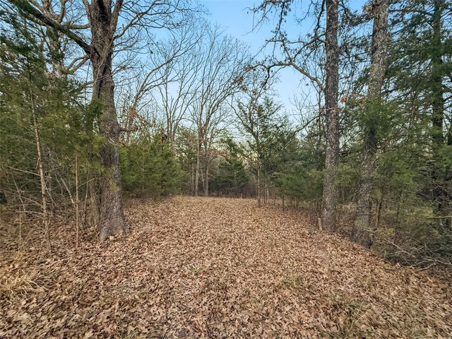 344 RS County Road 4254, Point, TX 75472