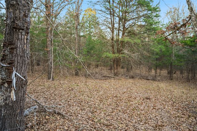 344 RS County Road 4254, Point, TX 75472