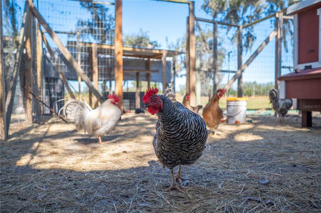 4900 J JACKSON ROAD, Fort Meade, FL 33841