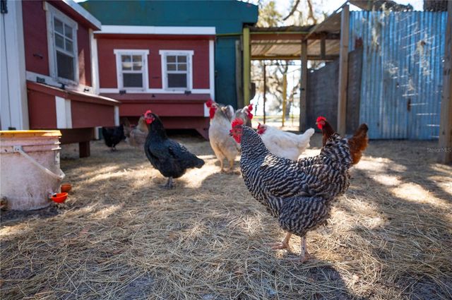 4900 J JACKSON ROAD, Fort Meade, FL 33841