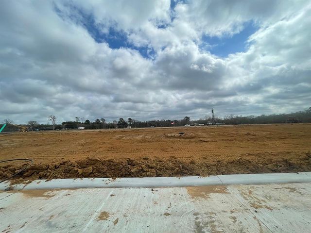 12023 Curlin Drive, Willis, TX 77318
