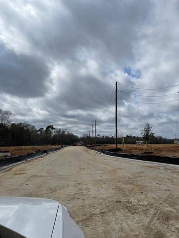 12023 Curlin Drive, Willis, TX 77318