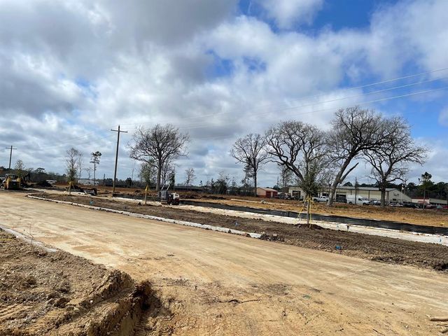12023 Curlin Drive, Willis, TX 77318