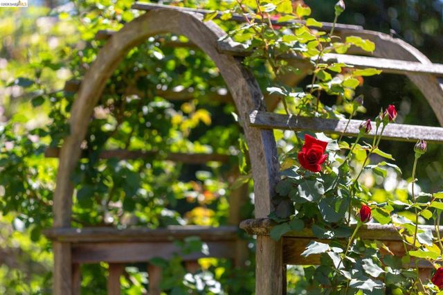 316 Pacific Ave, Piedmont, CA 94611