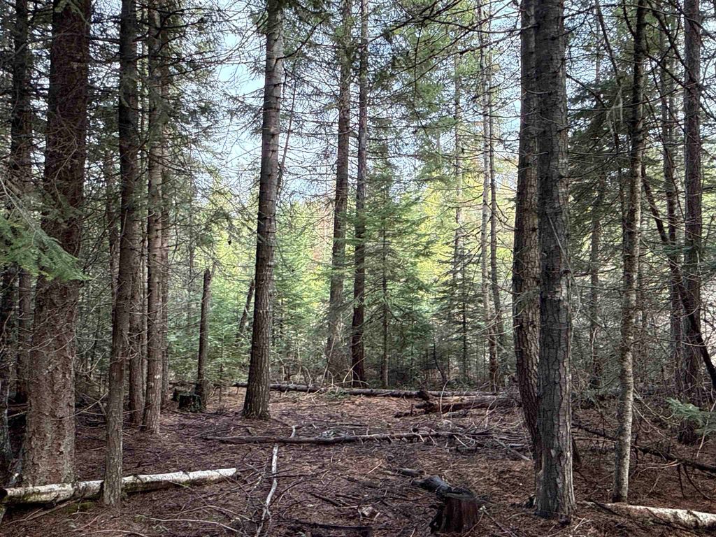 NKA Eagle Ridge Way, Springdale, WA 99173