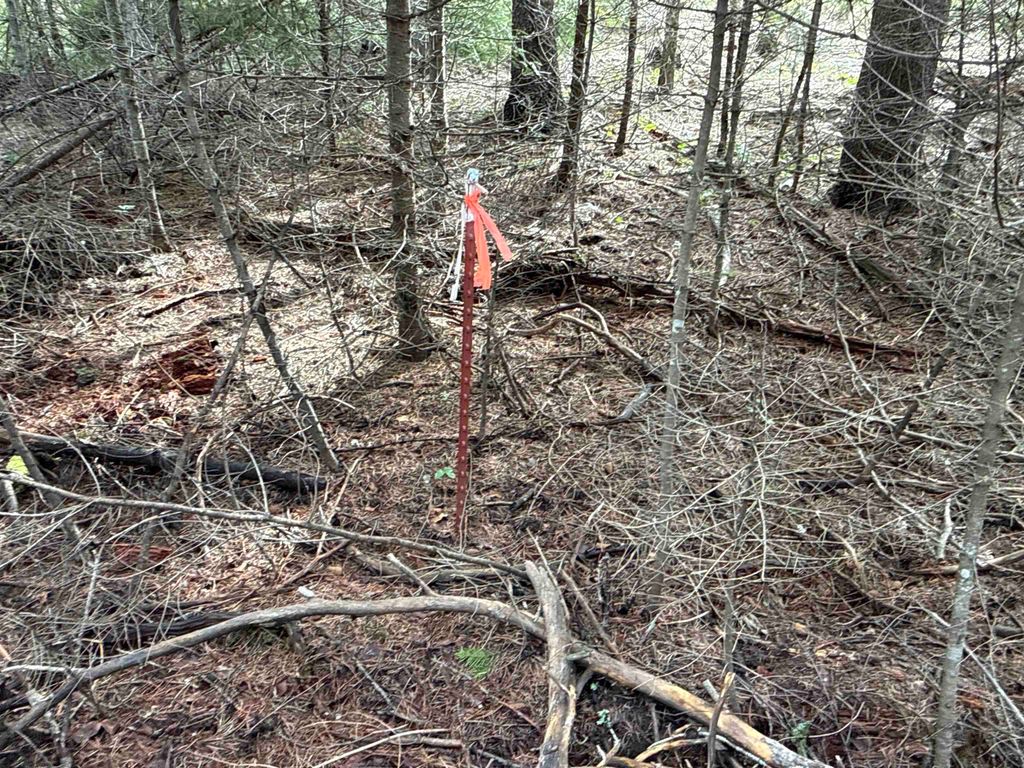 NKA Eagle Ridge Way, Springdale, WA 99173 photo 2