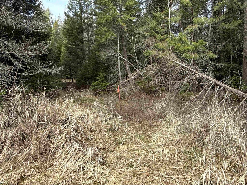 NKA Eagle Ridge Way, Springdale, WA 99173 photo 11